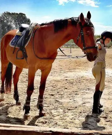 Photo de A.S.D. Equiheart