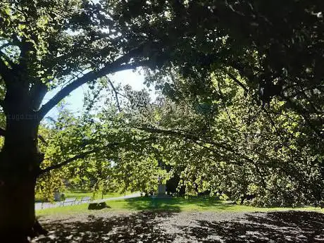 Viale Della Repubblica