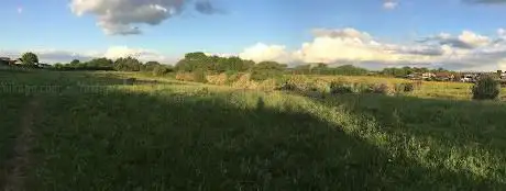 Horses Field  Dane Bank