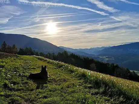 Photo de Albero solitario Amaten Einsamer Baum von Amaten