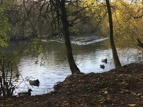 Watford Lodge Nature Reserve