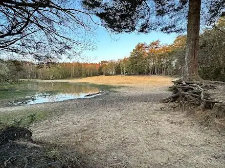 Photo de The Sandpit