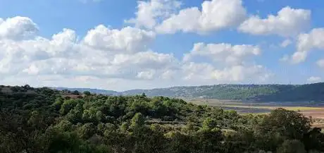 Photo de Bosco Calmerio (Masseria Calmerio Canale di Pirro)