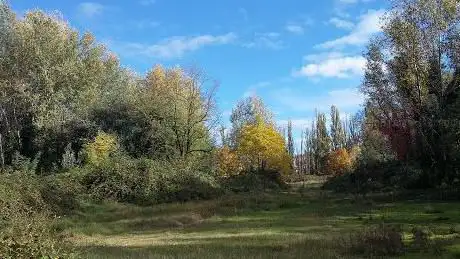 Oasi Smeraldino