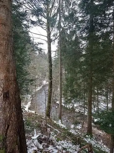 Photo de Sentier touristique des perles de vologne