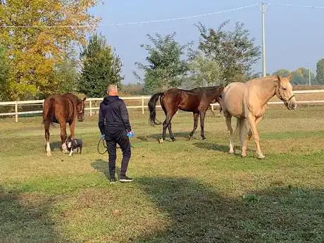 CENTRO EQUESTRE LA ROSA