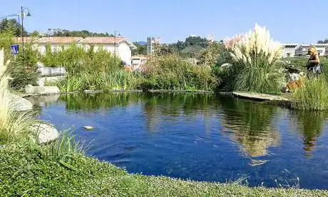 Photo de Parco degli ulivi danzanti