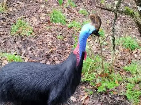 Photo de Avifauna