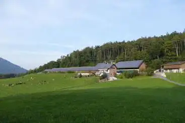 Schneehof