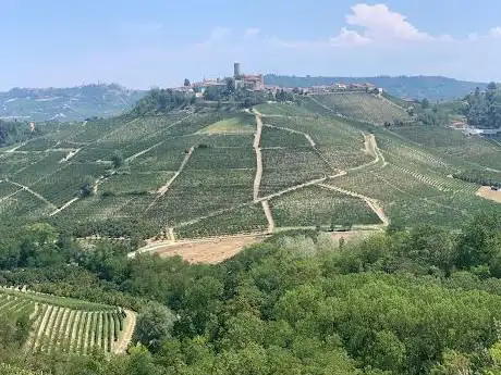 Ferrero Langhe Tours - Tour in E-bike Vespa, Quad e NCC in Langhe e Monferrato