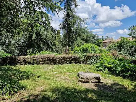 Photo de Bosco Comunale - Bosco dei Cappuccini