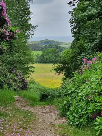 Sheringham Wood (Bottom Access)