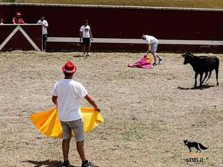 Photo de Multiaventuras el Zorro.