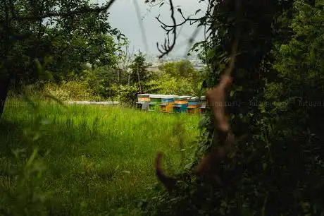 Accesso Sentiero del Canestrello