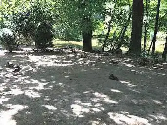 Parc aux animaux du Bois-de-la-Bâtie