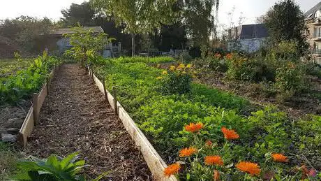 Jardin de l'Orneau (potager collectif)