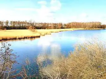 Marais d'Harchies
