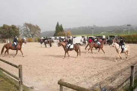 Photo de Reitzentrum Forch