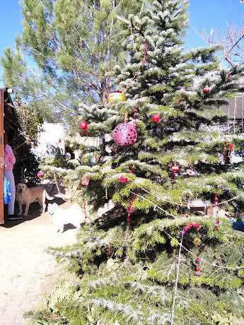 Photo de Huerta