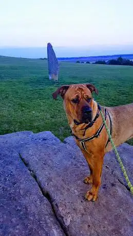 Photo de Pen Goch Hill