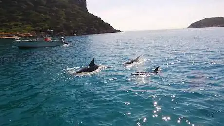 Escursioni Tavolara - Avvistamento Delfini - Blue Deep Tours