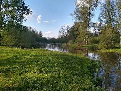 De Roost