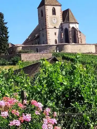Train Touristique