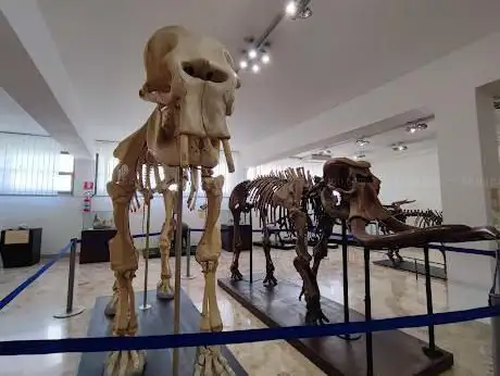 Photo de Museum of Geology