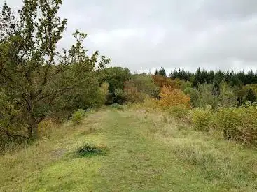 Chedworth Nature Reserve
