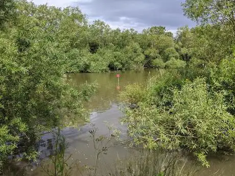 Photo de Newsham Pond