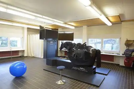 Photo de reitsimulator.training Eliane Künzle