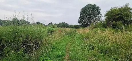 Kalverbos