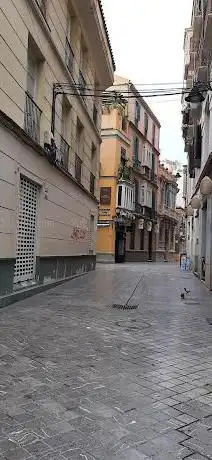 Photo de GalerÃa Benedito