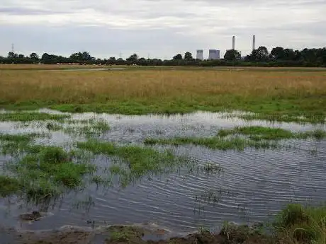 RSPB Beckingham Marshes