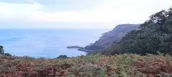 Photo de Jardin d'Olivet