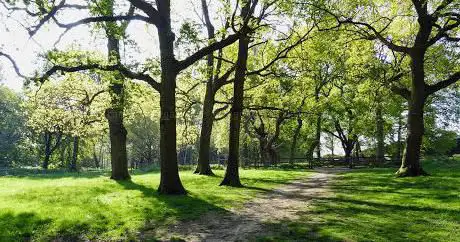 Photo de Coulsdon Common