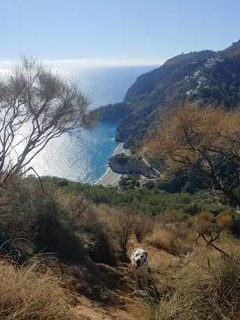 Photo de Cerro Caleta