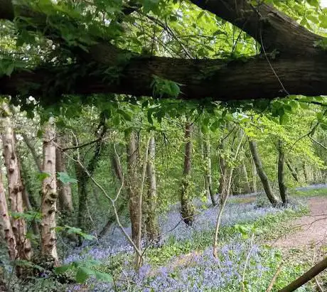 Bois d' Heigne