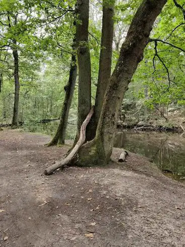 Photo de La Butte Khôlossale