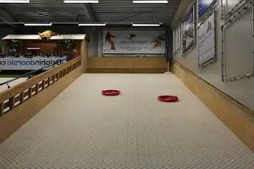 Delphindoorski