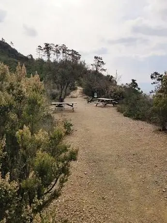 Terra rossa