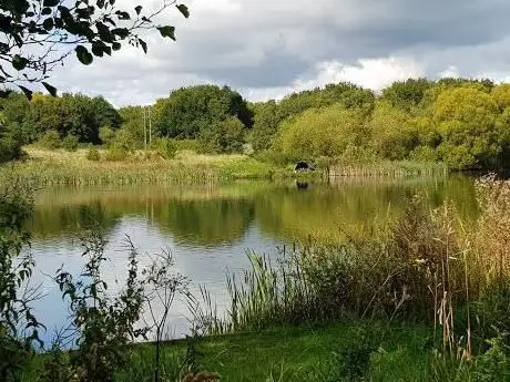 Photo de Manor Floods
