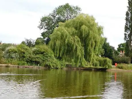 Trittiford Mill Park