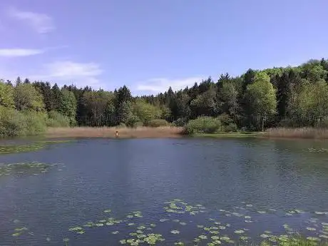 Photo de Office National des Forêts (O.N.F)