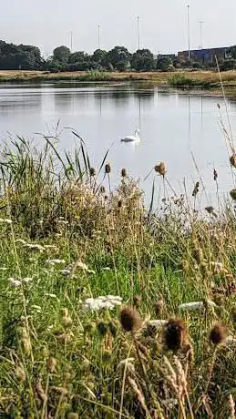 Two Island Lake