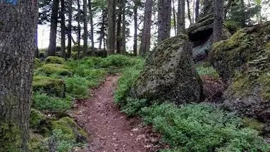 Breitberg
