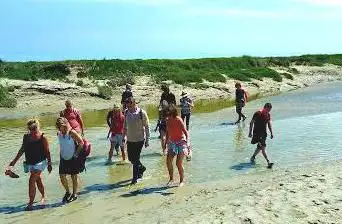 Passion Baie de Somme - Sorties guidées en Baie de Somme : traversée de la baie, voir les phoques...