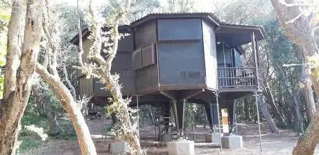 Photo de Casa Esagono - BACO archivio Vittorio Giorgini