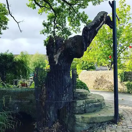 Photo de The Fish Stones & Oak Tree