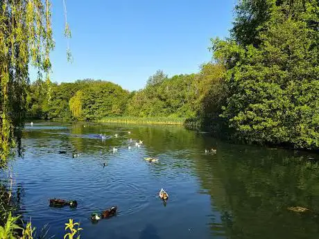 Belgrave Lake